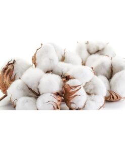 where to buy raw cotton