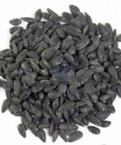 sunflower seed for sale